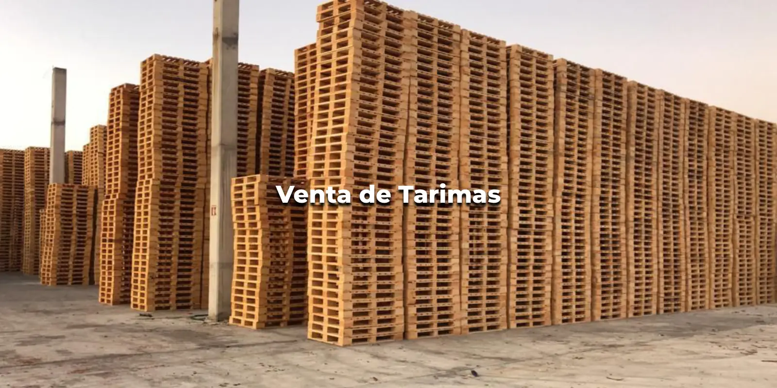 Venta de Tarimas